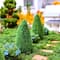 Miniature Boxwood Shrubs, 2ct. by Make Market®